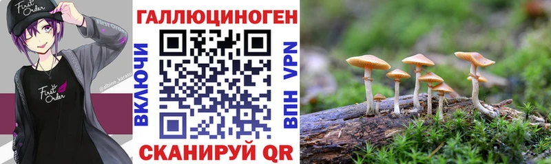 Купить закладки  Лакинск  Галлюциногенные грибы Cubensis 